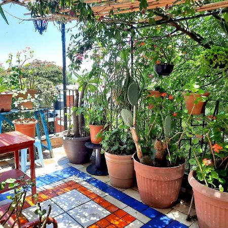La Terraza Del Pochote Oaxaca Zewnętrze zdjęcie