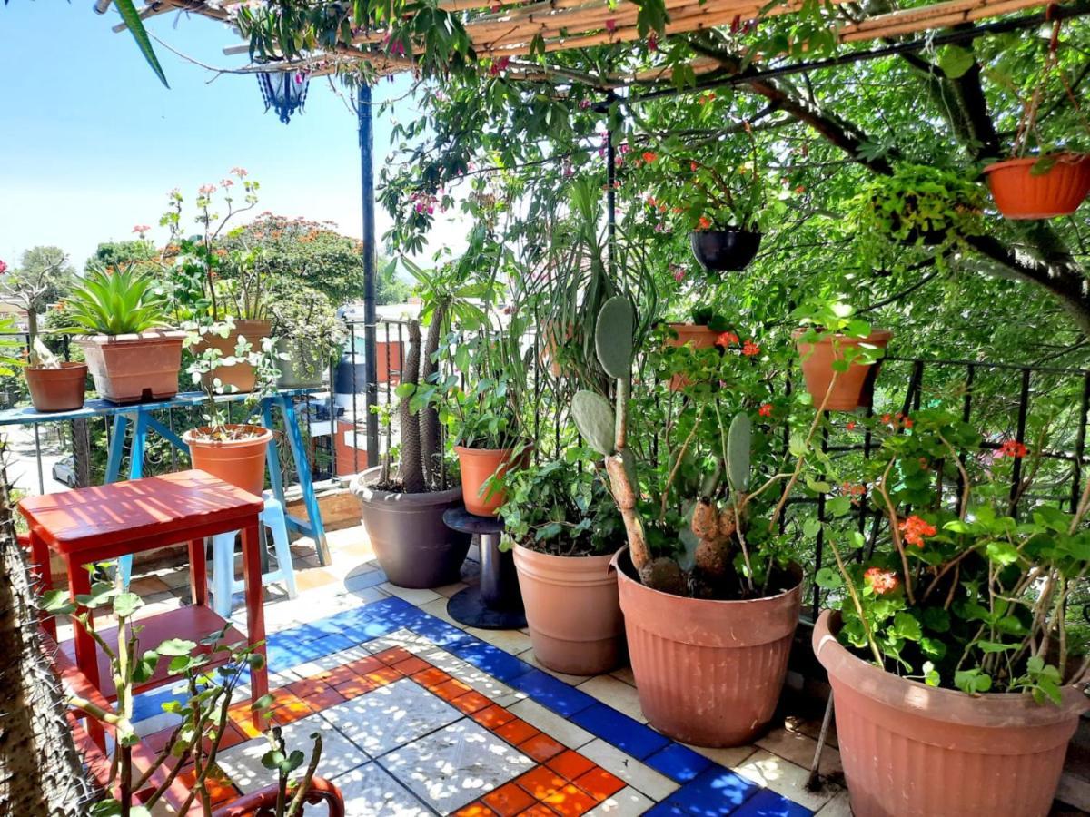 La Terraza Del Pochote Oaxaca Zewnętrze zdjęcie
